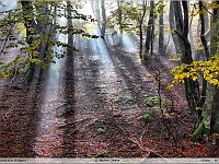 autunno 2011 (6)
